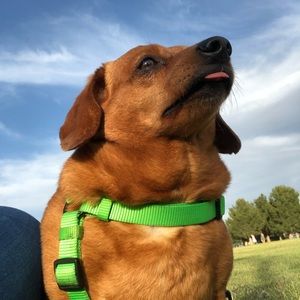 Meet your Posher, Priscila